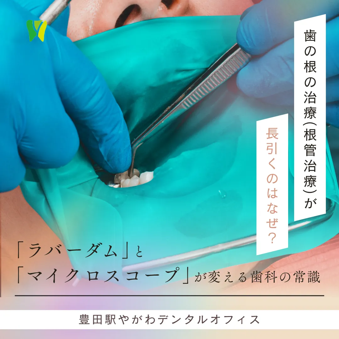 【20261030】歯の根の治療（根管治療）が長引くのはなぜ？「ラバーダム」と「マイクロスコープ」が変える歯科の常識